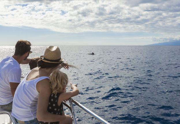 ocean around Tenerife