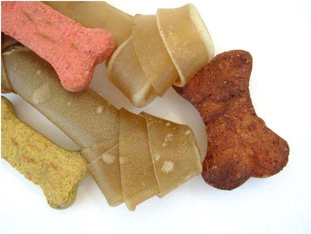 tasting dog foods