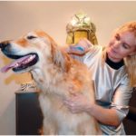 Pet Salon