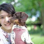 Dressing Up Your Dog