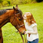 Pet Horse