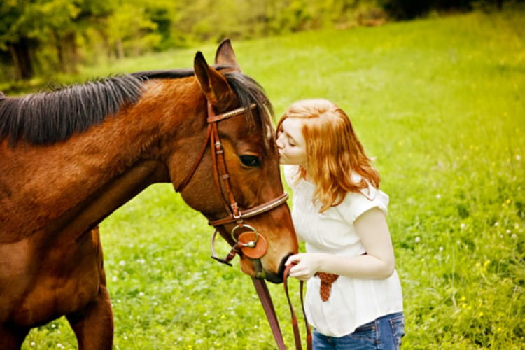 4 Ways to Nurture Your Pet Horse