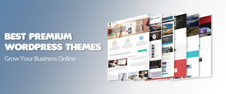 5+ Premium WordPress Business Themes