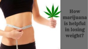 How marijuana is helpful in losing weight