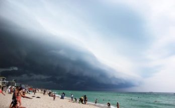 Beaches in Miami