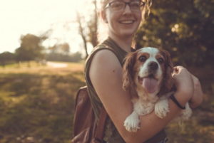 Travelling with Companion Dogs