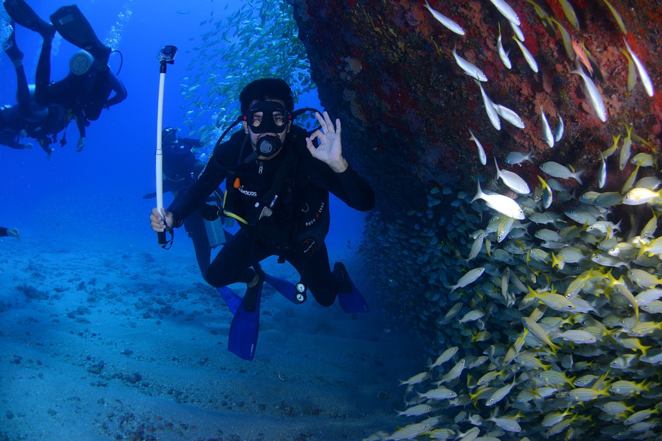 Dive in Water