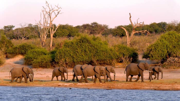 Botswana Travel Guide: Things You Need To Know!
