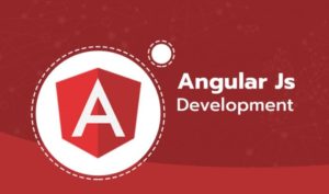 angular JS development