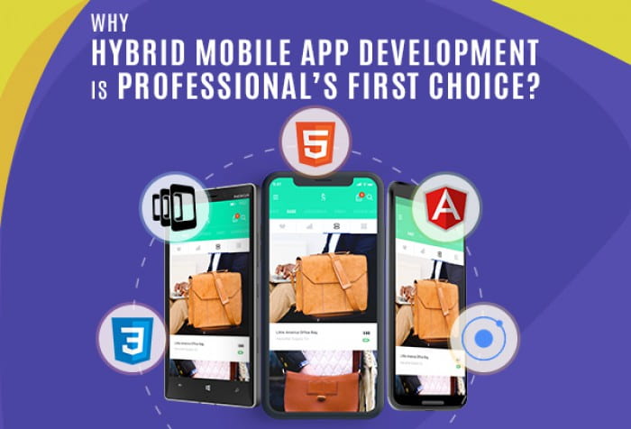 Why Hybrid Mobile App Development is Professional’s First Choice