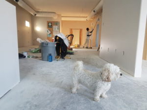 Tips to Renovate Your House