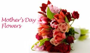 mothers day flowers