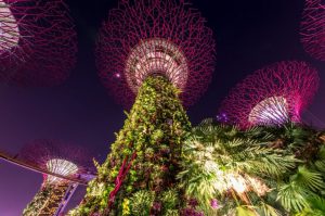 Gardens By The Bay