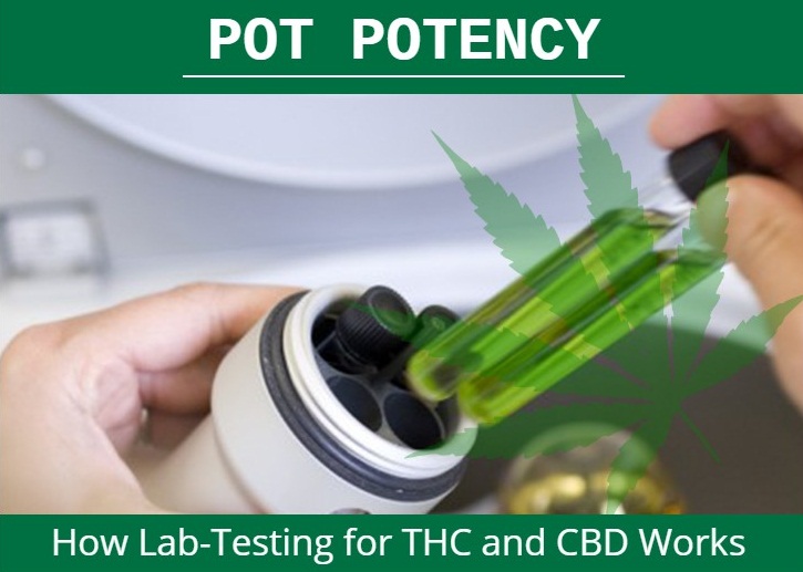 Pot Potency: How Lab-Testing for THC and CBD Works