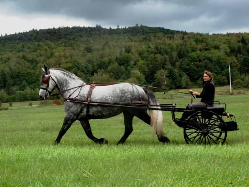 Wagon ride