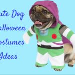 Cute Dog Halloween Costumes