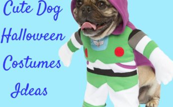 Cute Dog Halloween Costumes