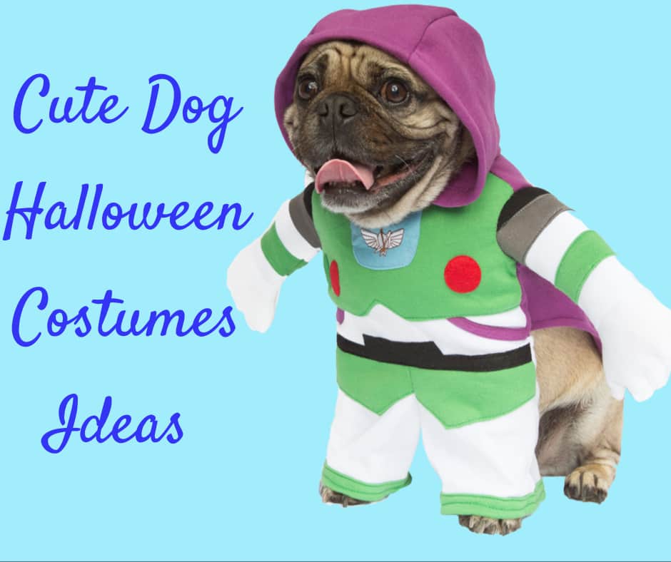 10 Cute Dog Halloween Costumes Funny Ideas For Pet Costumes