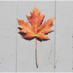 5 Tips For Saving Money At Home This Fall
