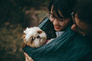 Pet carrier