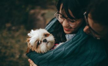 Pet carrier