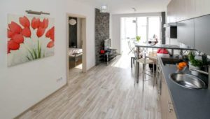 Remodel Tiny Apartments