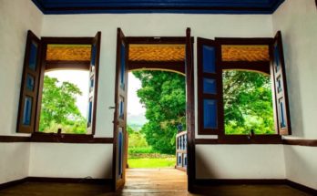 Wood Window Frames