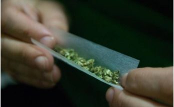 Detox Weed