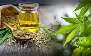 CBD Oil