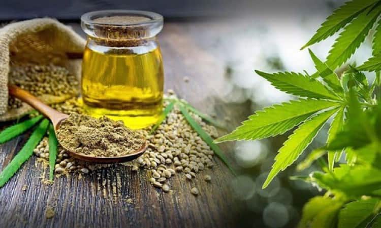 How Much CBD Oil Should I Take?