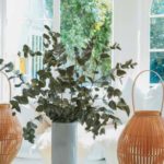 Decorating Tips