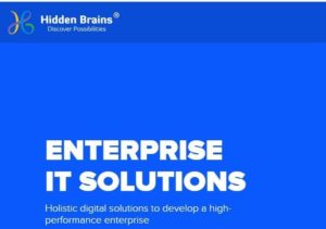 HIDDEN BRAINS INFOTECH: