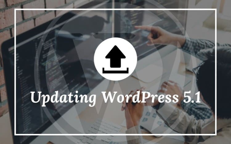 What Care should be Taken Before Updating WordPress 5.1?