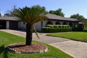 Spring Home Improvements
