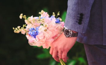 Best Flowers for Saying Sorry