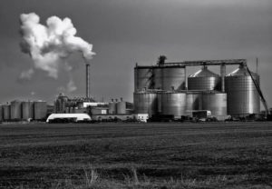 Ethanol Production