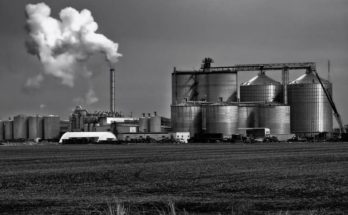 Ethanol Production
