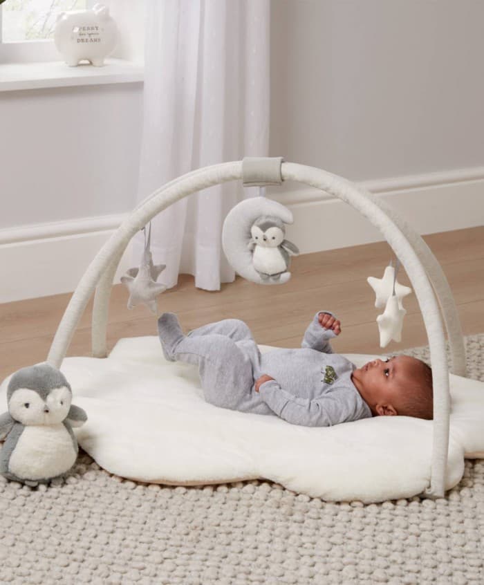 Mobile Baby Play Gym