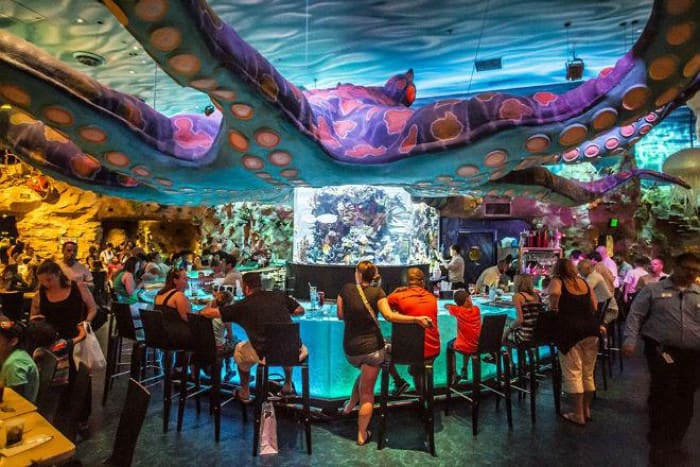 Aquarium café interior décor