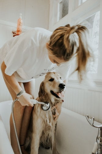 Bathing your Dog