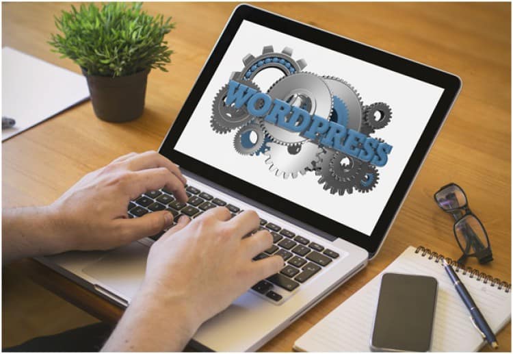 The 10 Best Freelance WordPress Designers to Hire In 2019