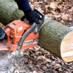 Tree Removal