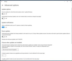 Disable Automatic Update