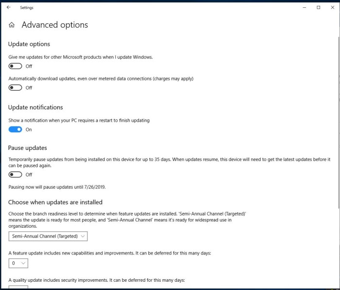Disable Automatic Update