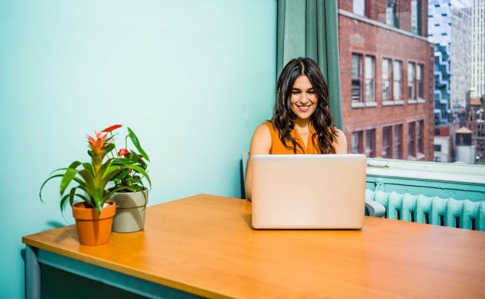 A Desk Plant