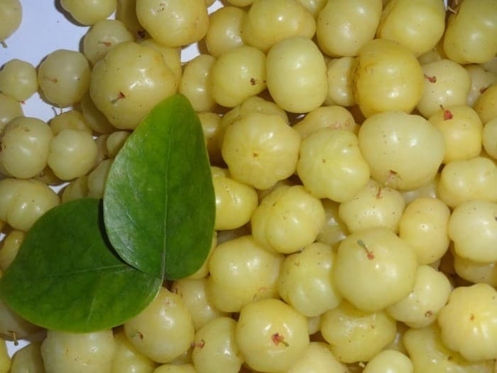 Amla For Strong Hair