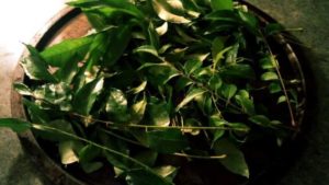 Curry Leaves To Treat Hair Loss