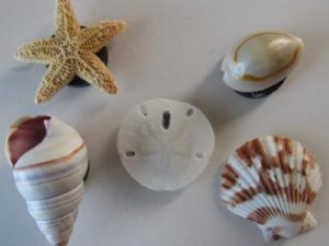 Fridge Magnet