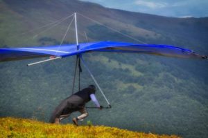 Things to Do in Mt. Tamborine