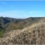 A Challenging Race Up Boney Mountain